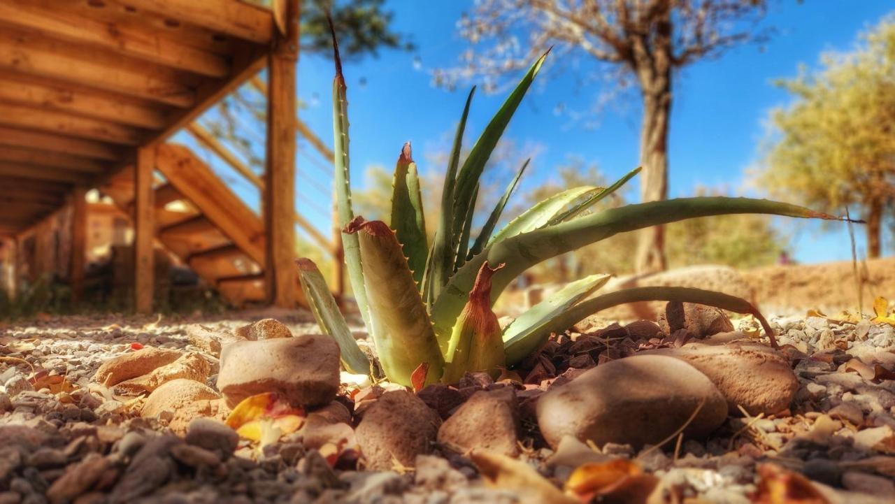 Glamping Dunas Del Sol Сан Педро де Атакама Екстериор снимка