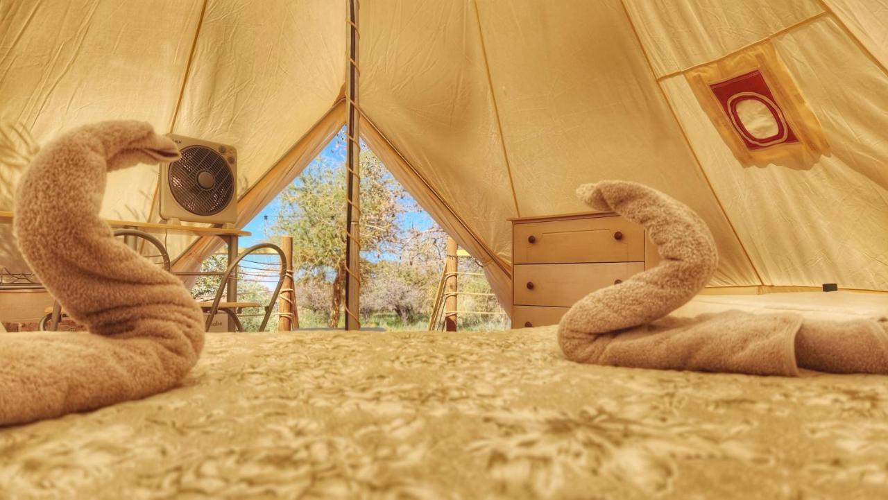 Glamping Dunas Del Sol Сан Педро де Атакама Екстериор снимка